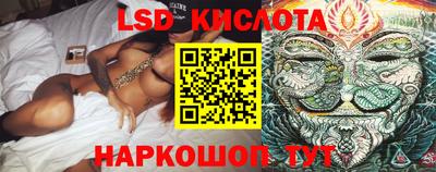 крисы Малгобек