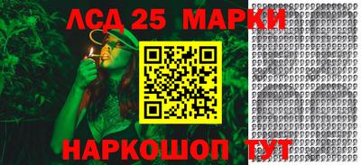 крисы Малгобек