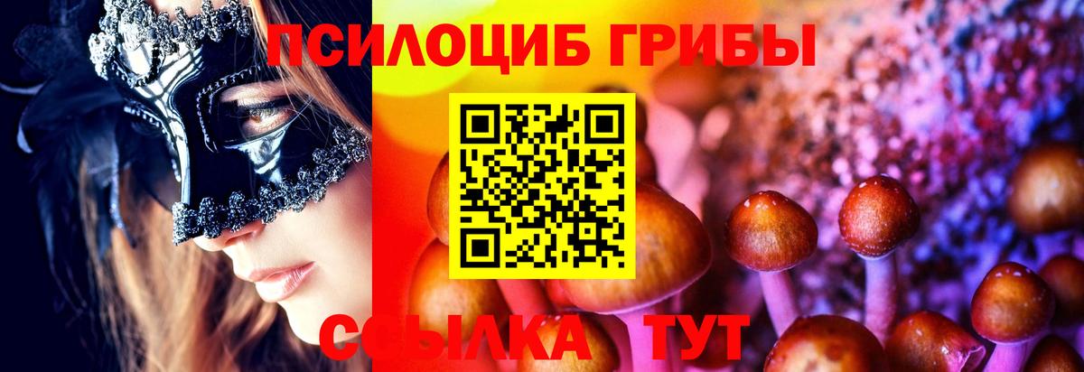 Галлюциногенные грибы GOLDEN TEACHER Топки